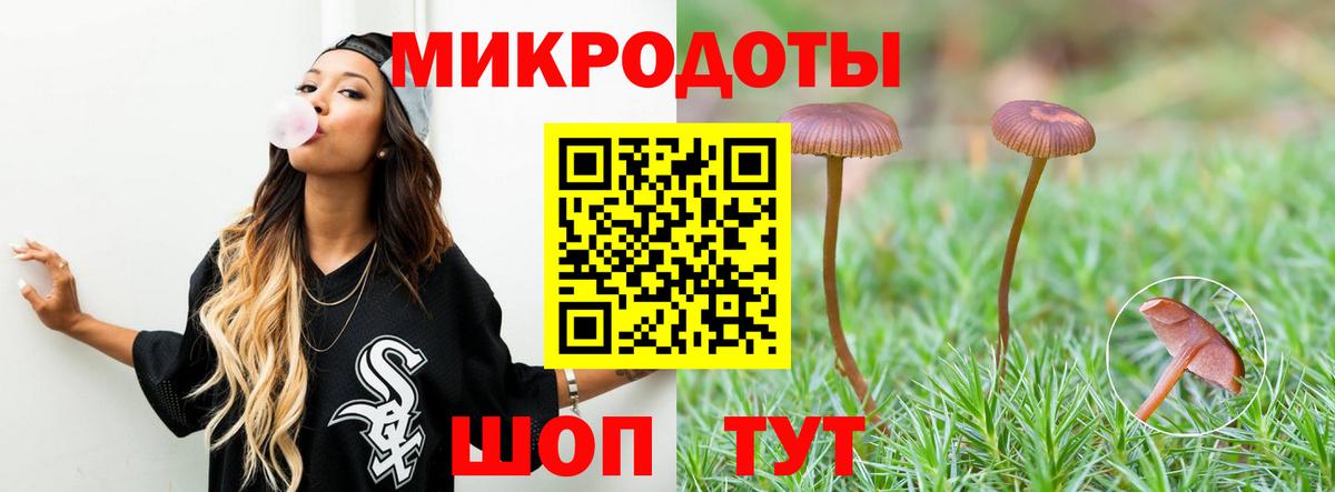 Кинель  Псилоцибиновые грибы Psilocybine cubensis  Вход с VPN 