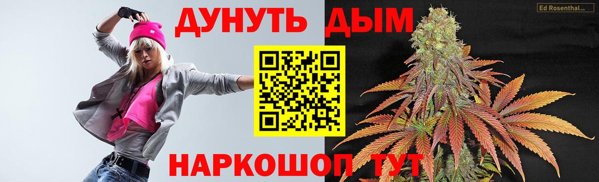 Бошки марихуана сатива Кинель
